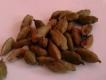 Making Garama Masala At Home